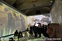 VBS_8066 - Van_Gogh_experience